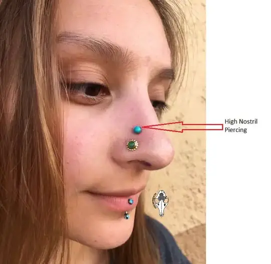 The Ultimate Guide to Bridge Piercings: Types, Aftercare, and Tips – Pierced