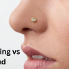 Nose Ring vs Stud