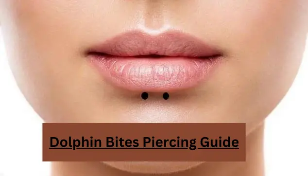 Dolphin Bites Piercing