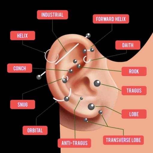 Pain Ear Piercing Chart - 16 Of The Least And Most Painful Piercings