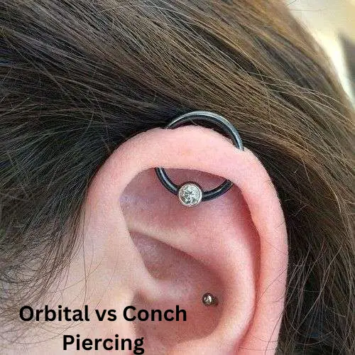 Orbital vs Conch Piercing