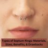 Types of Septum Rings