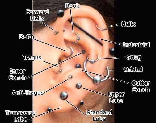 Types-of-Ear-Piercing