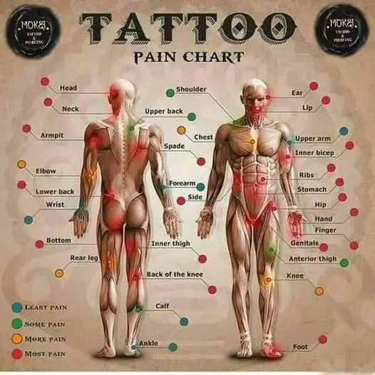body piercing chart