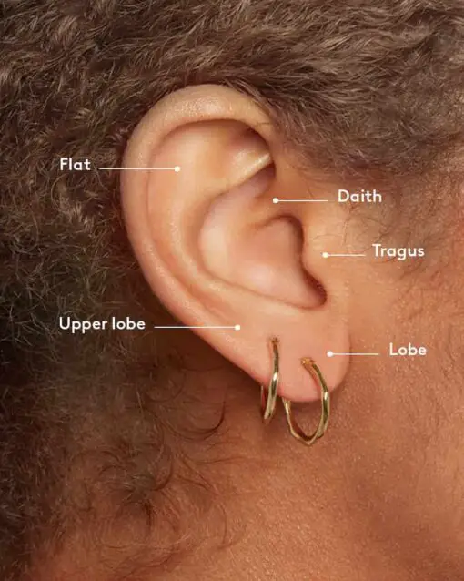 Ultimate Guide To Piercings For Men In 2024